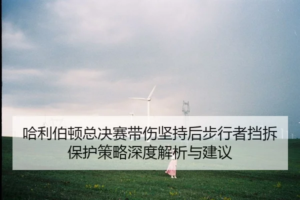 哈利伯顿总决赛带伤坚持后步行者挡拆保护策略深度解析与建议